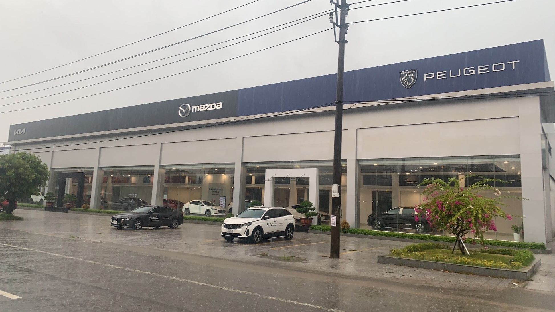 Thừa Thiên Huế: Đại lý Showroom KIA Nguyễn Văn Linh